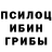 Галлюциногенные грибы Cubensis 22Kevi
