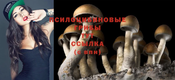 индика Балахна
