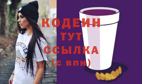 индика Балахна