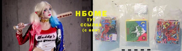 индика Балахна