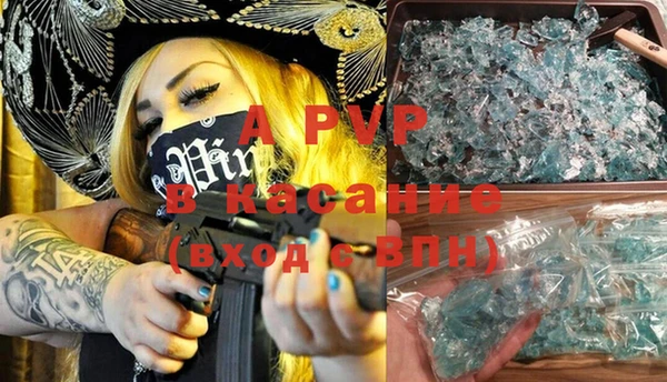 индика Балахна
