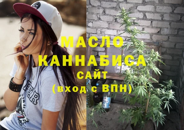 индика Балахна