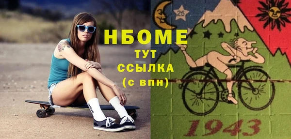 индика Балахна
