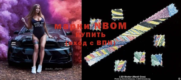 индика Балахна