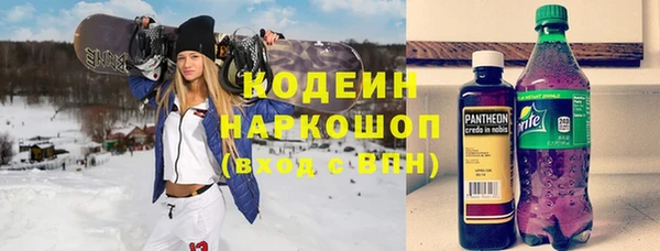 индика Балахна